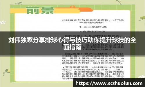刘伟独家分享排球心得与技巧助你提升球技的全面指南