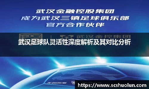 武汉足球队灵活性深度解析及其对比分析