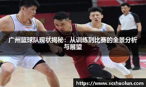 广州篮球队现状揭秘：从训练到比赛的全景分析与展望