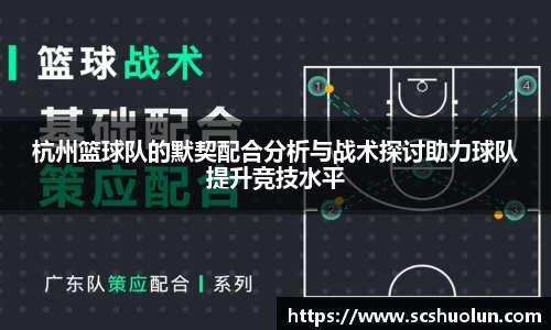 杭州篮球队的默契配合分析与战术探讨助力球队提升竞技水平